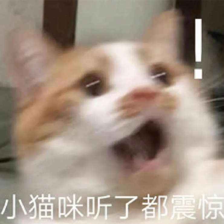 速查！財(cái)政部開(kāi)通23初級(jí)會(huì)計(jì)報(bào)名狀態(tài)查詢(xún)通道！附準(zhǔn)考證打印流程~